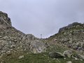 20250618_142022.jpg