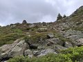 20250618_153305.jpg