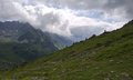 20250618_154056.jpg