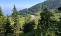 20250619_101333.jpg