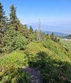 20250619_102900.jpg