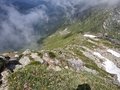 20250619_122215.jpg