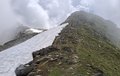 20250619_124033.jpg