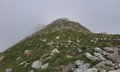 20250619_124747.jpg