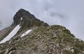 20250619_124749.jpg