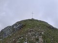 20250619_130144.jpg