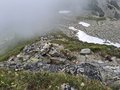 20250619_131910.jpg