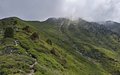 20250619_134011.jpg