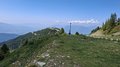 20250619_153928.jpg