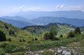 20250619_153948.jpg