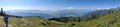 20250619_160043_-_20250619_160050.jpg