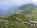 IMG-20250619-WA0013.jpg