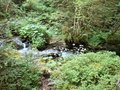 20250620_100841.jpg