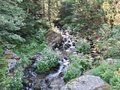20250620_101049.jpg