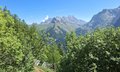 20250624_112408.jpg