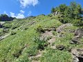 20250624_113749.jpg