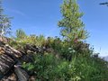 20250624_113755.jpg