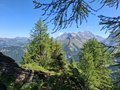 20250624_113806.jpg