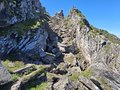 20250624_115918.jpg