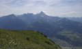20250624_152901.jpg