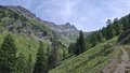 20250624_161857.jpg