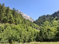 20250710_114918.jpg