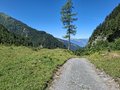 20250710_114923.jpg