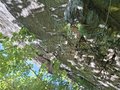 20250710_120456.jpg