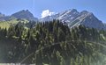 20250710_123423.jpg