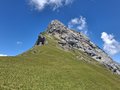 20250710_133141.jpg