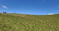 20250710_133142.jpg