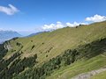 20250710_133457.jpg
