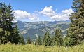 20250710_144507.jpg