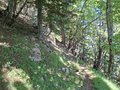 20250710_150821.jpg