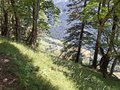 20250710_150823.jpg