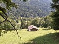20250710_160308.jpg