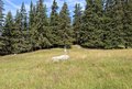 20250720_111345.jpg