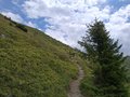 20250720_133315.jpg