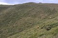 20250720_153844.jpg
