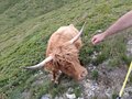 20250720_154026.jpg
