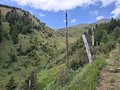 20250720_161624.jpg