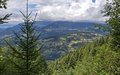 20250724_145055.jpg
