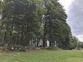 20250801_131907.jpg