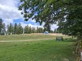 20250801_142416.jpg