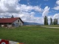 20250801_142420.jpg
