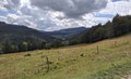 20250801_152556.jpg