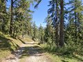 20250807_111530.jpg