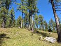 20250807_112350.jpg