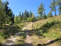 20250807_112352.jpg