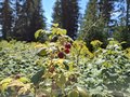 20250807_113212.jpg